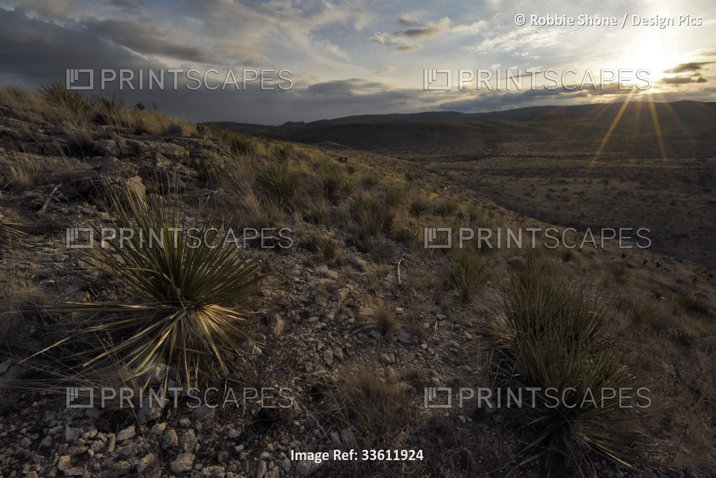 The Chihuahuan Desert in the Guadalupe Mountains of southern New Mexico.; ...