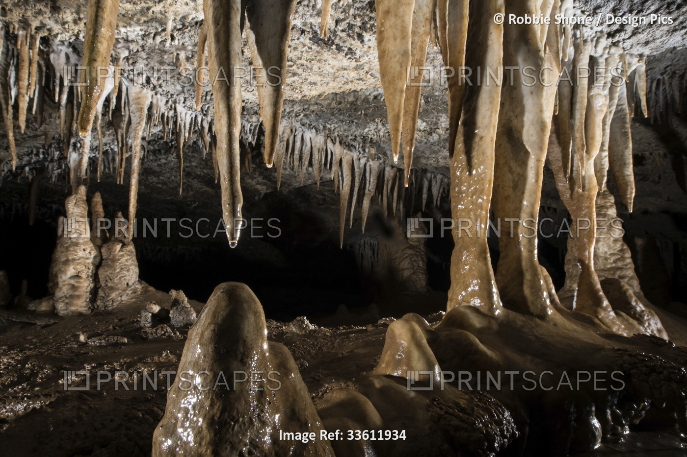 Tiny drops of water clings to the bottom of a stalactite in Whiterock Cave.; ...