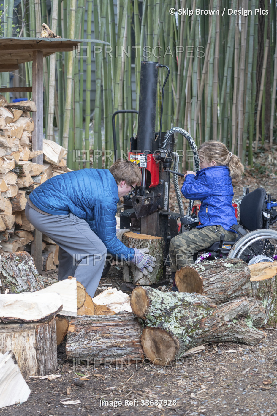 Girl in her wheelchair helps her older brother split wood at home; Cabin John, ...