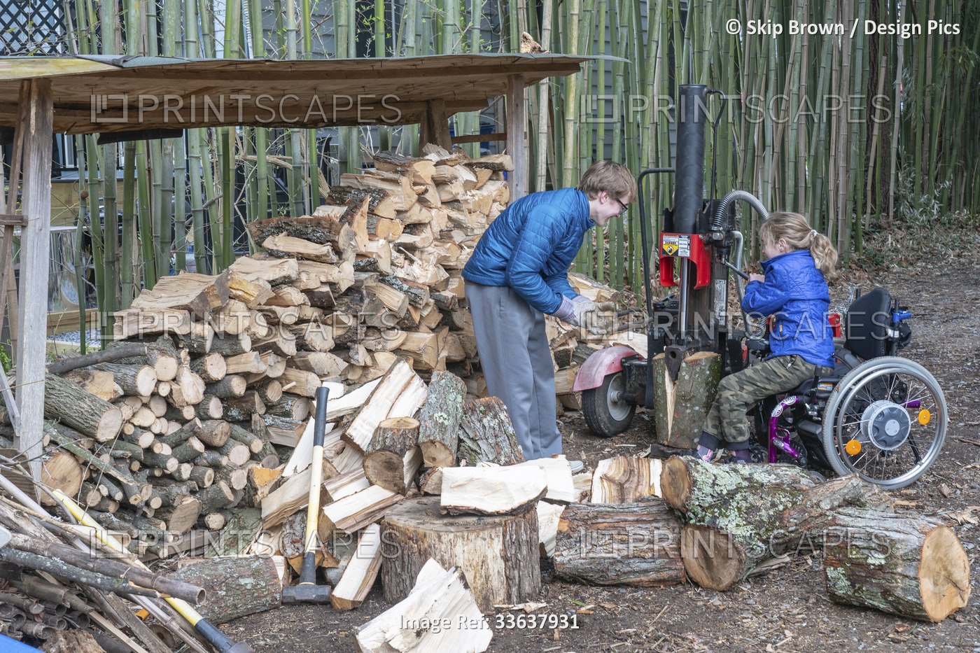 Girl in her wheelchair helps her older brother split wood at home; Cabin John, ...