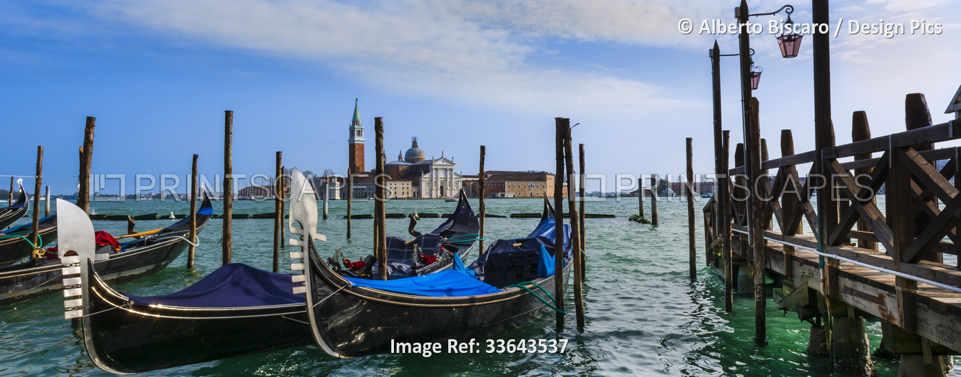 Gondolas covered in blue tied along the shoreline and a view of Piazza San ...