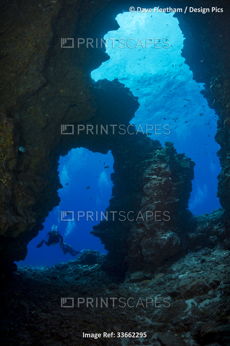 Divers pictured at the entrance to Second Cathedral off the Island of Lanai, ...