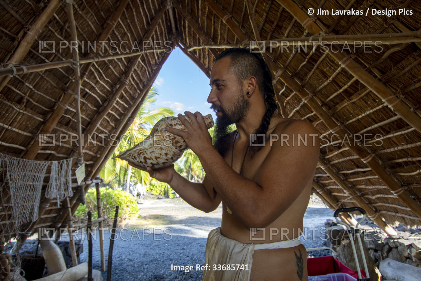 Man in a malo (loincloth) blows into a conch shell. He is the park guide, ...