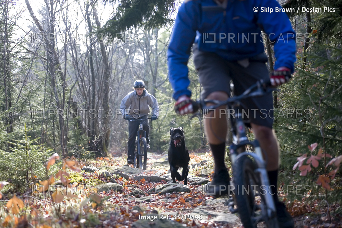 Mountain bikers and their dog on a rocky  trail in West Virginia, USA; West ...