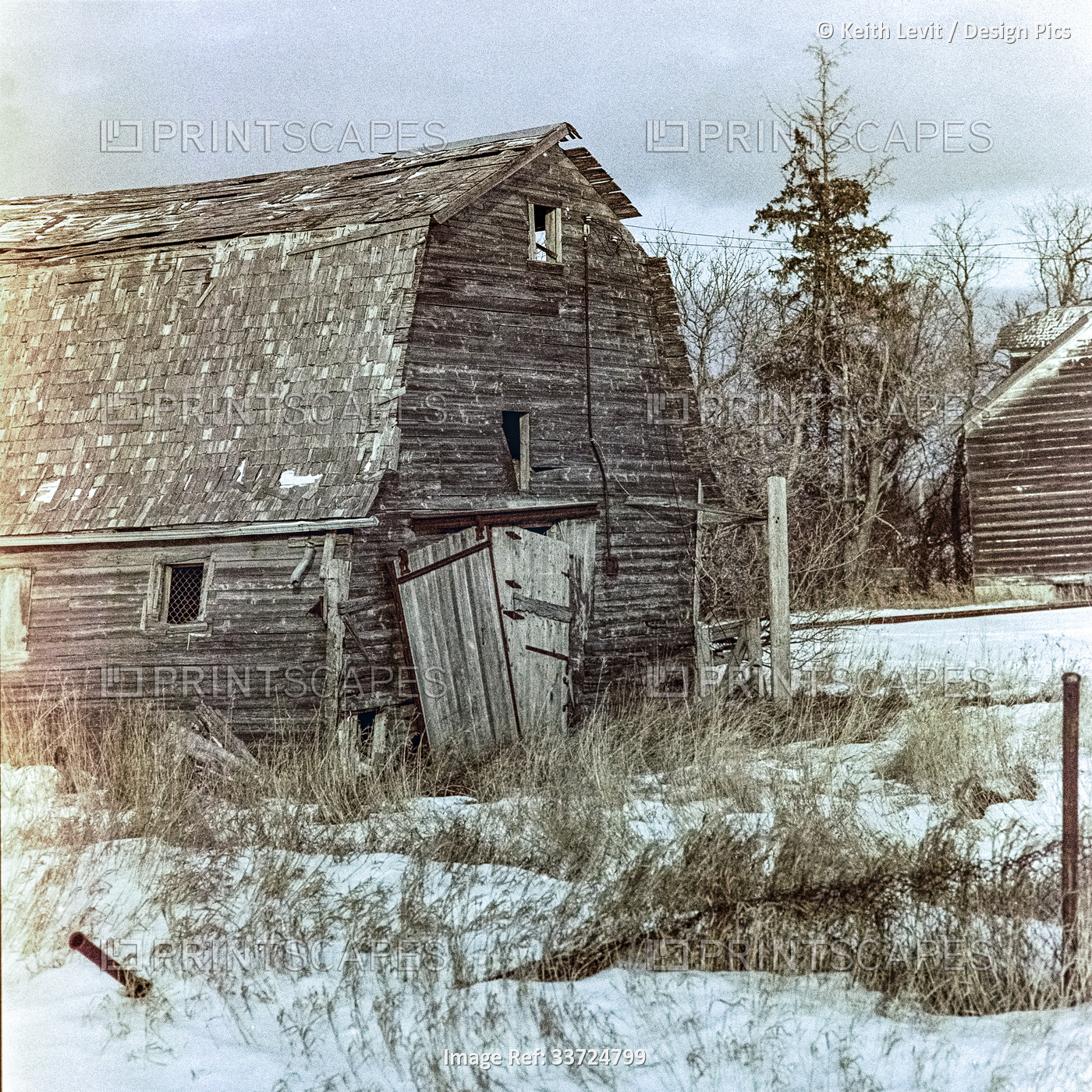 Dilapidated Barn on a Farmstead in the Countryside on the Canadian Prairies; ...
