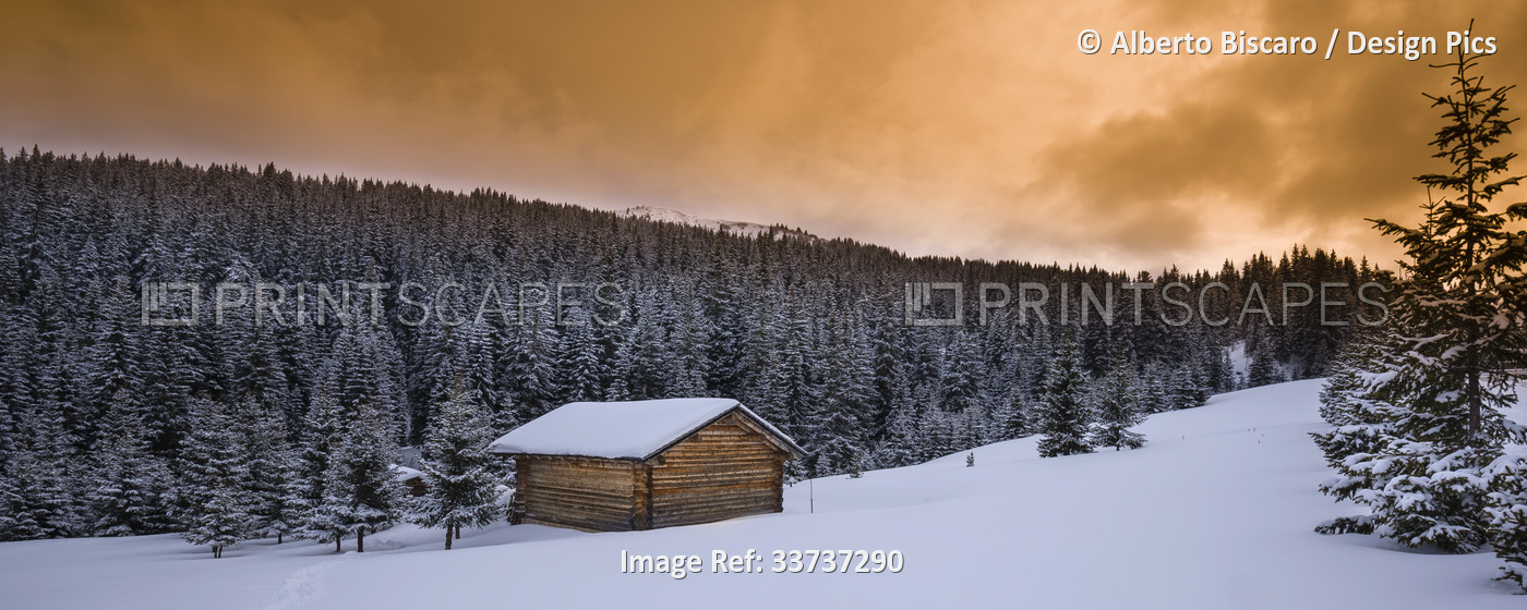 Farm hut and forest in winter, Dolomite Mountains; Alta Badia, South Tyrol, ...