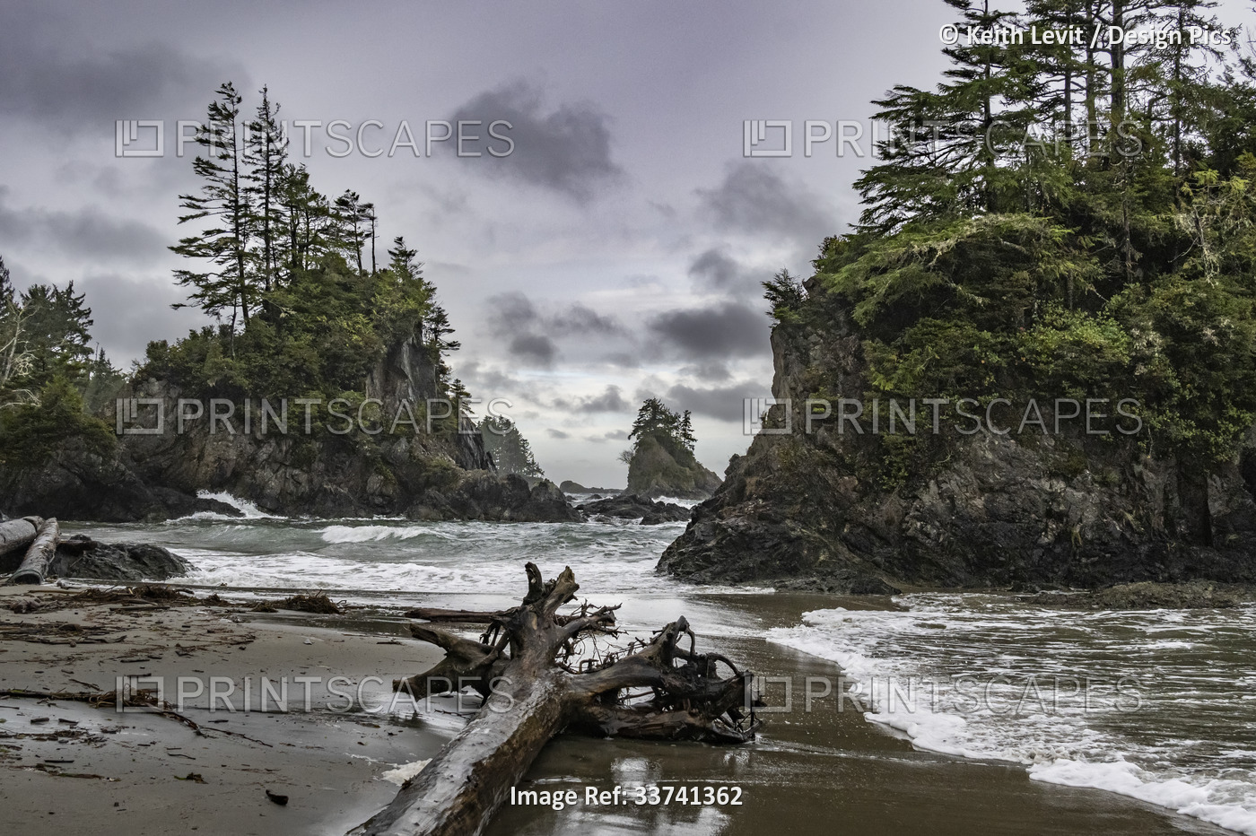 Rugged coastline of Brady's Beach in Bamfield on Vancouver Island; Bamfield, ...