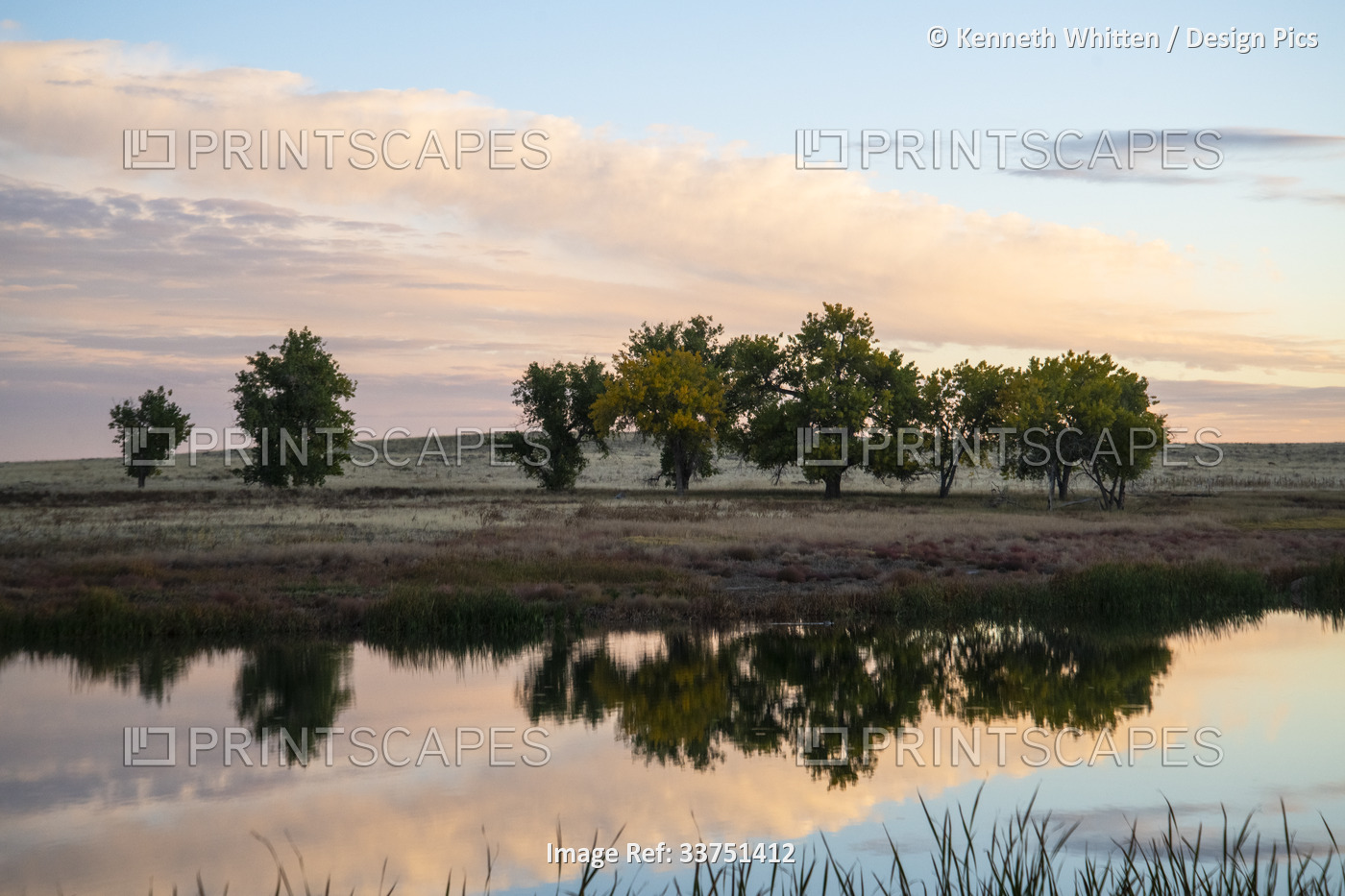 Trees reflected in a placid pond in the Rocky Mountain Arsenal Wildlife Refuge ...
