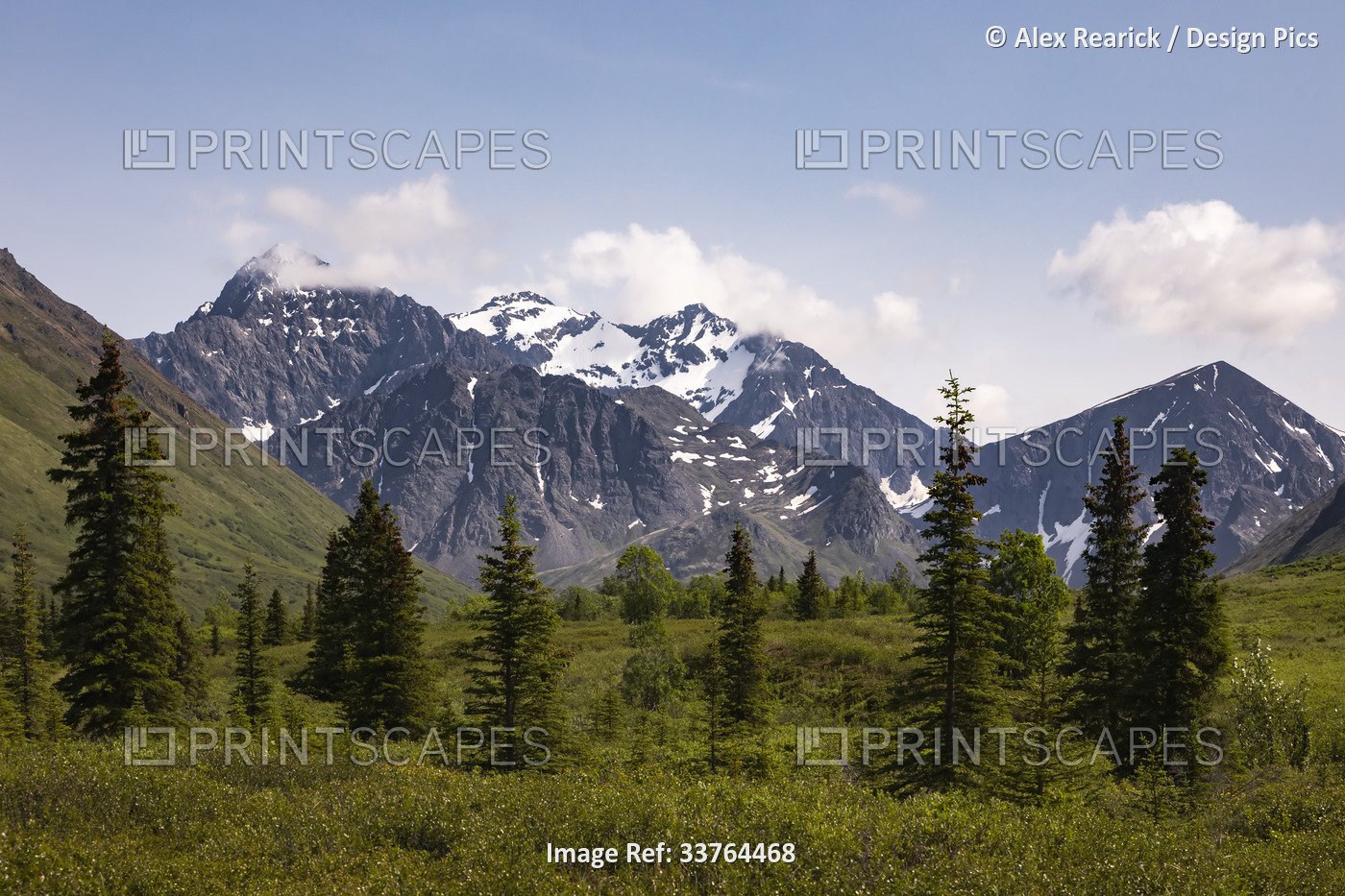 Beautiful day in the Chugach Mountains and forest in Chugach State Park of ...