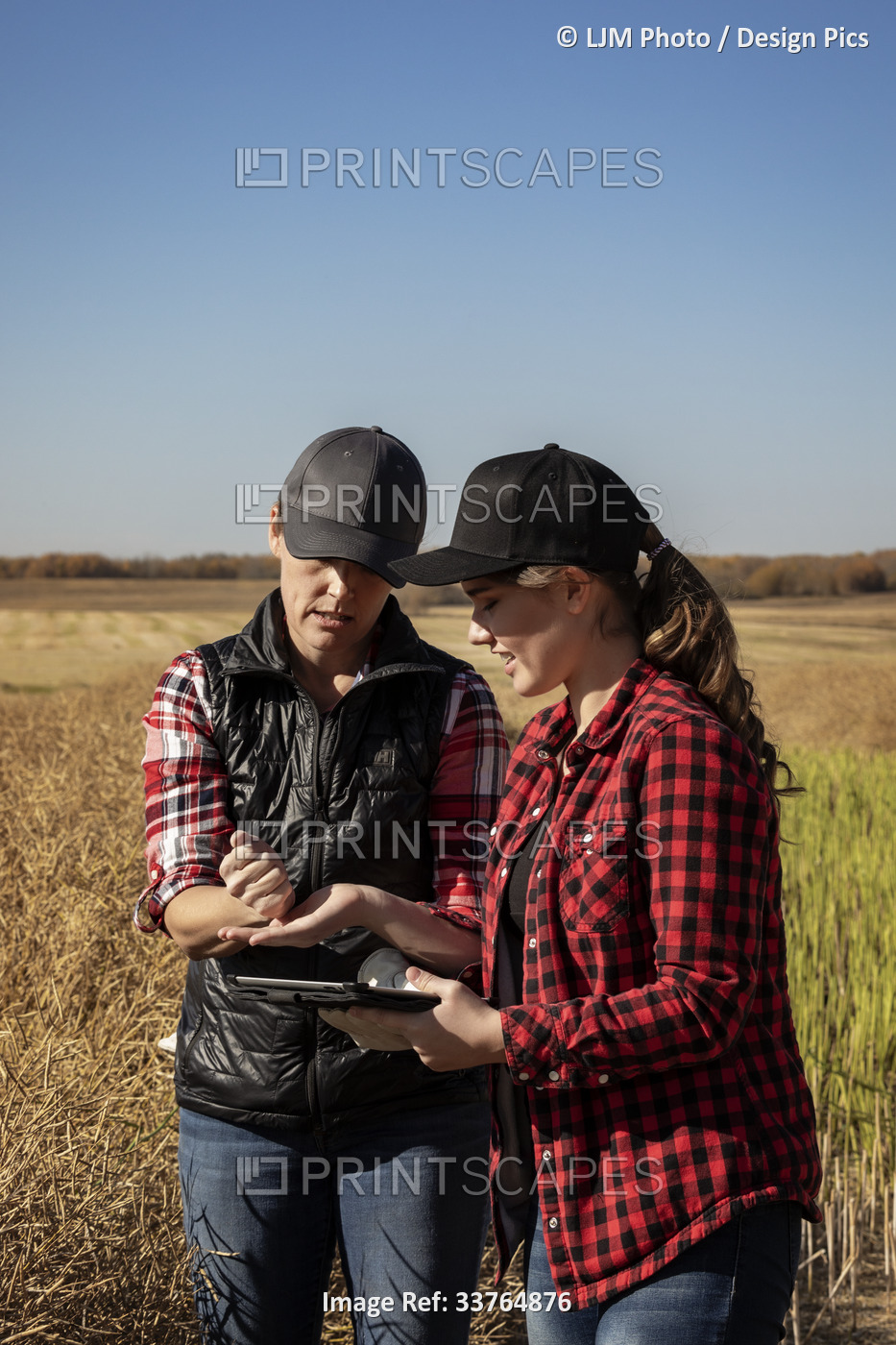 A woman farmer standing in the fields teaching her apprentice about modern ...