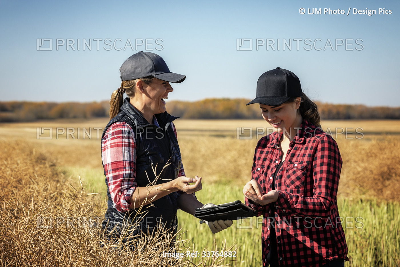 A woman farmer standing in the fields enjoying teaching her apprentice about ...