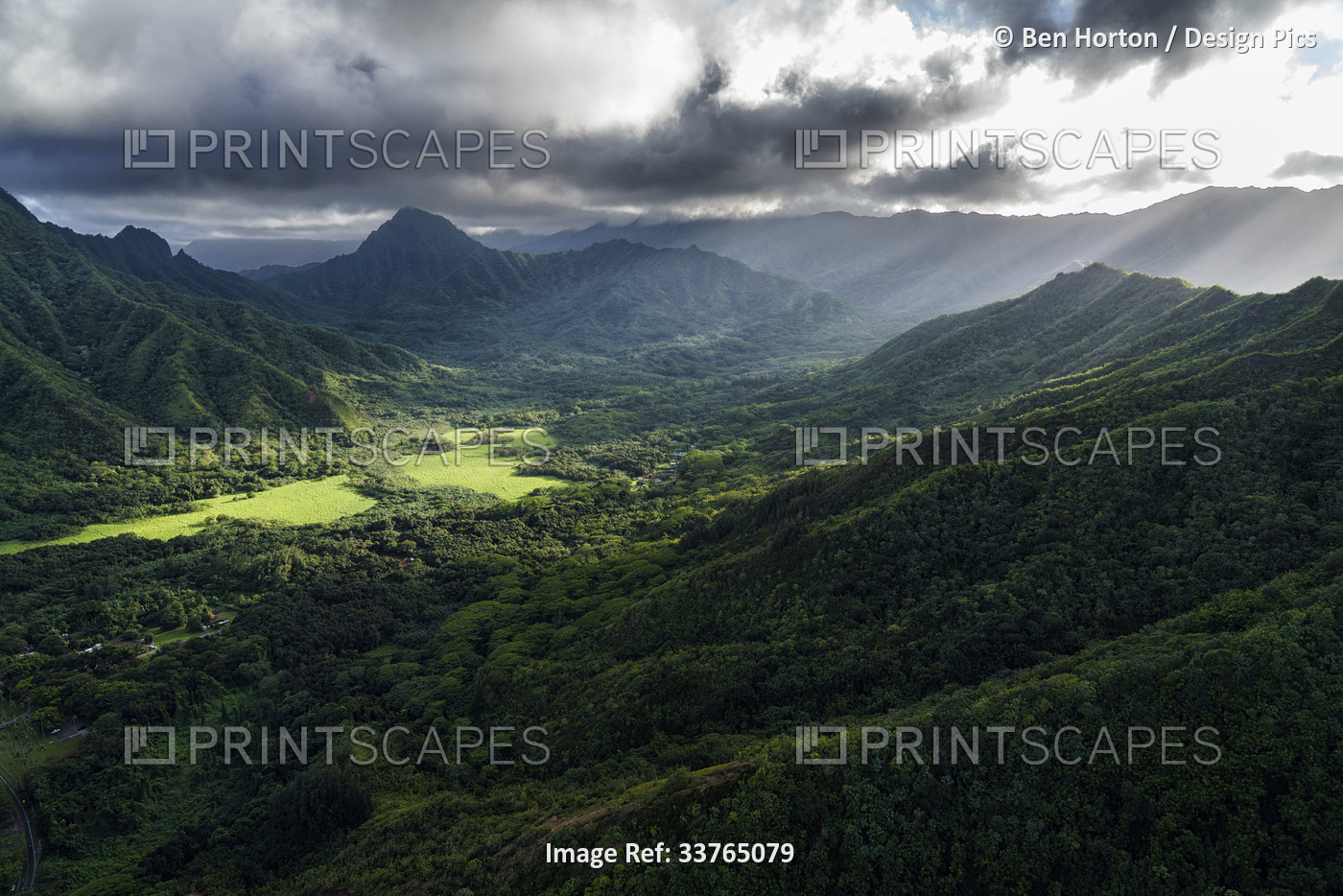 Lush vegetation over a mountainous landscape