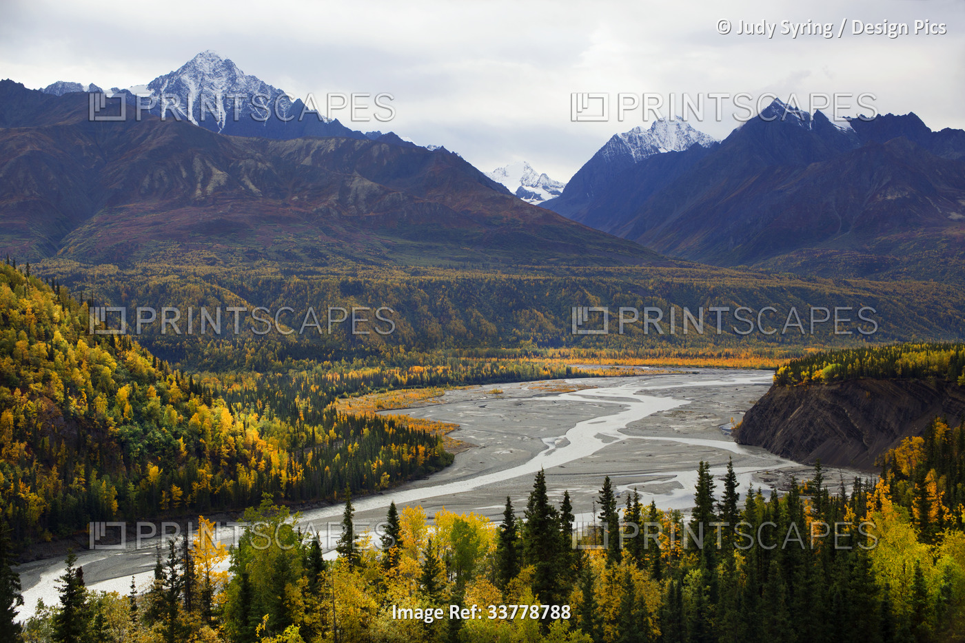 A stunning view of the Matanuska River Valley in full autumn color in ...