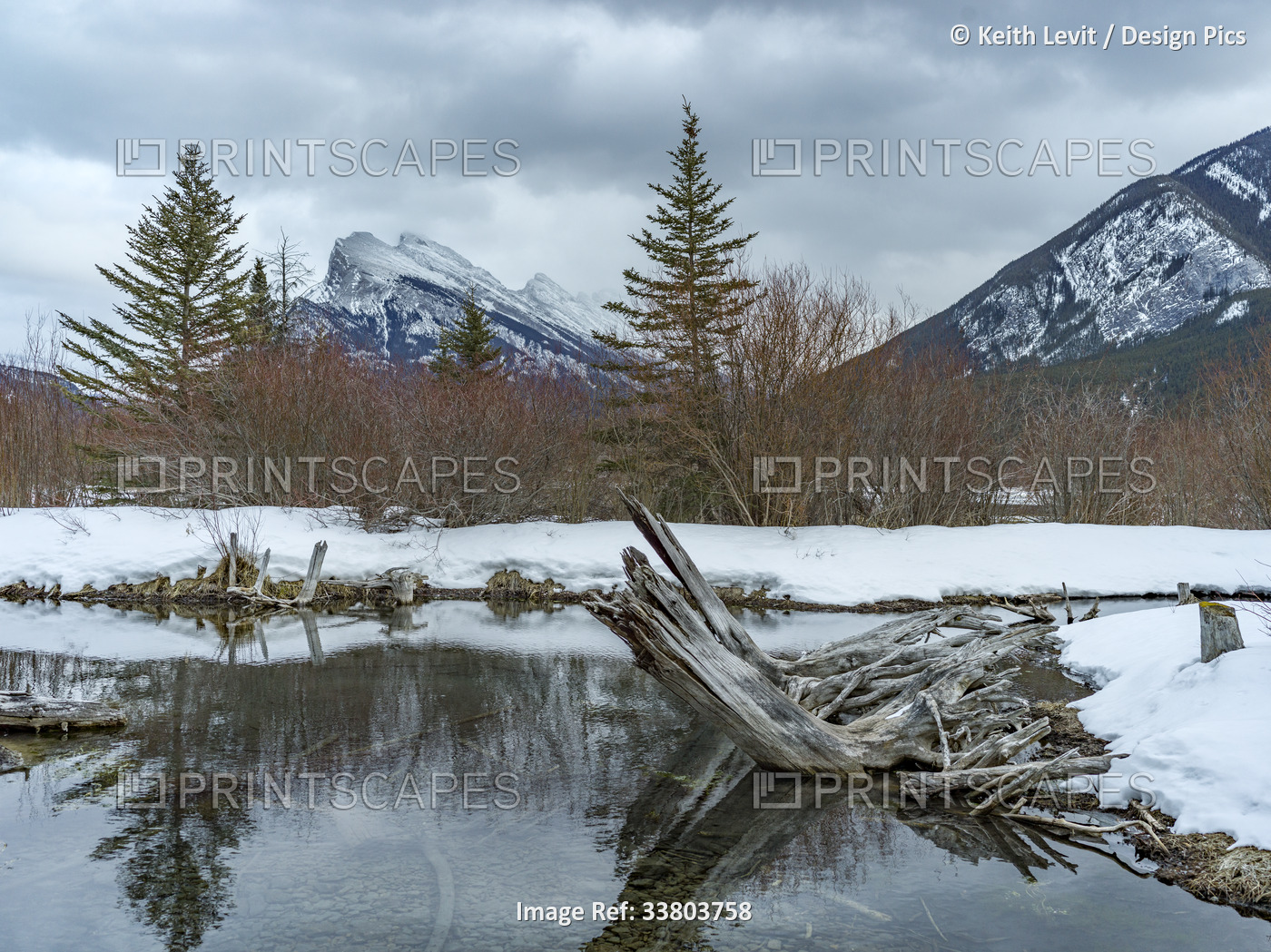 Mount Rundle seen from Vermilion Lakes, in the Canadian Rocky Mountains of ...
