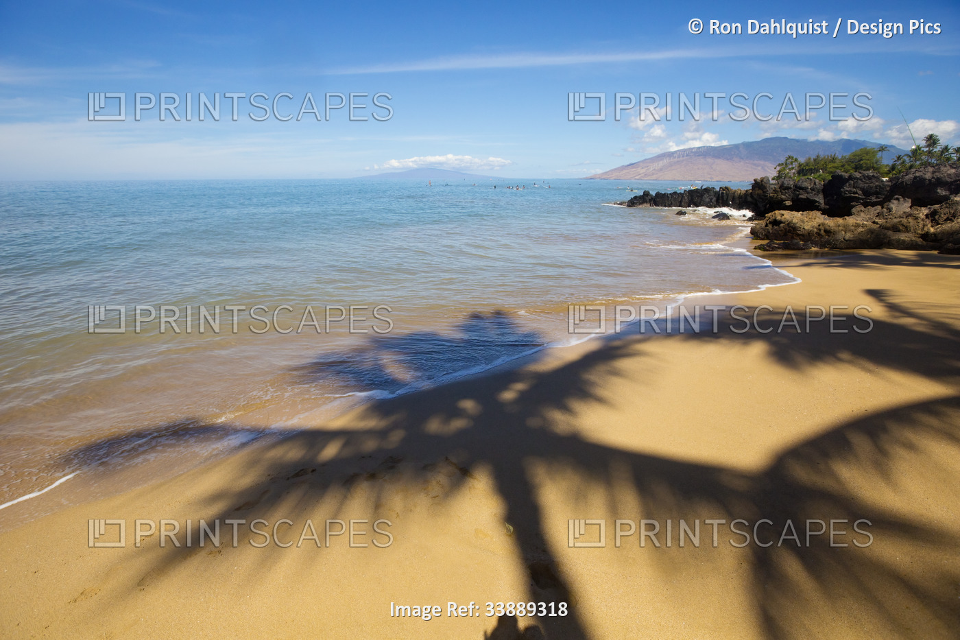 Shadows of palm trees in the sand at a Kihei Beach; Maui, Hawaii, United States ...