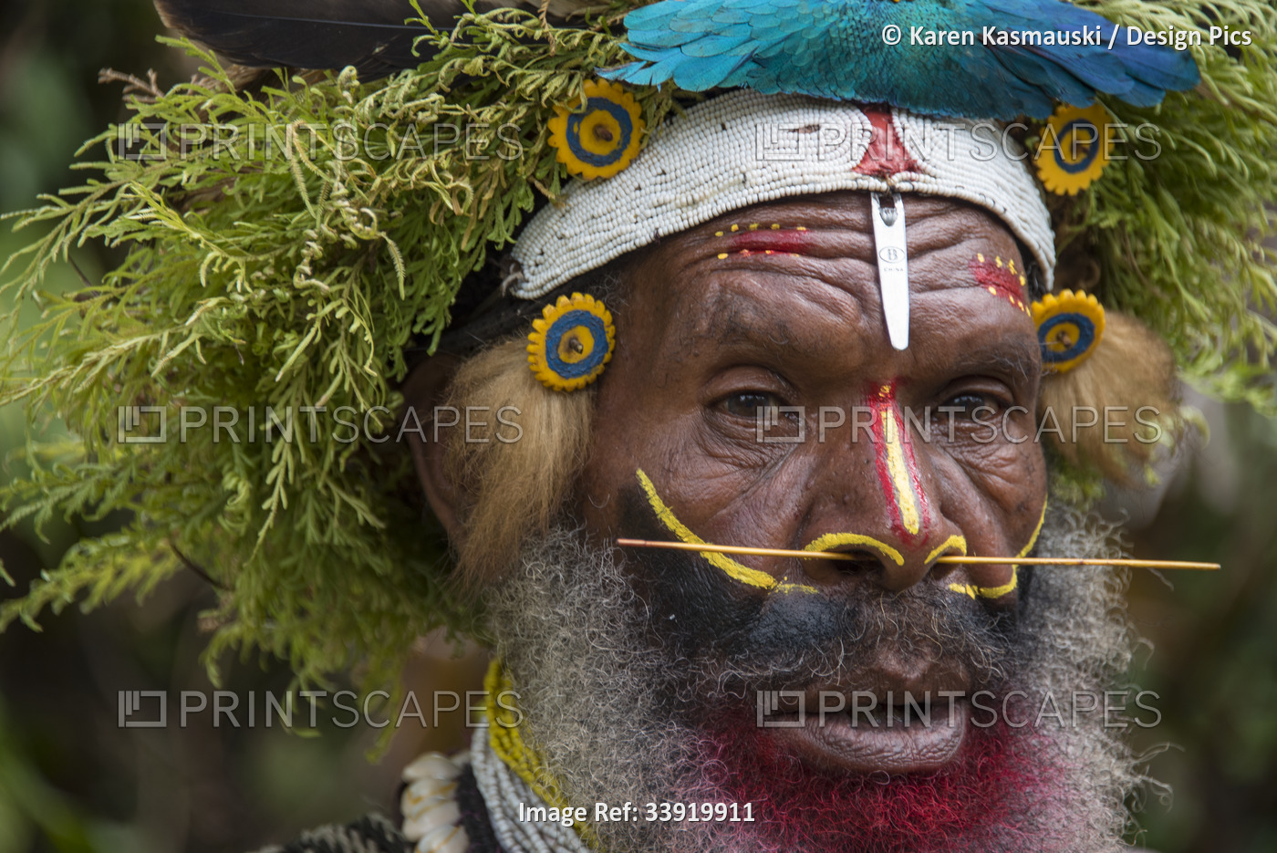 Tribesman of a Huli community in the Tari Valley area of Papua New Guinea's ...
