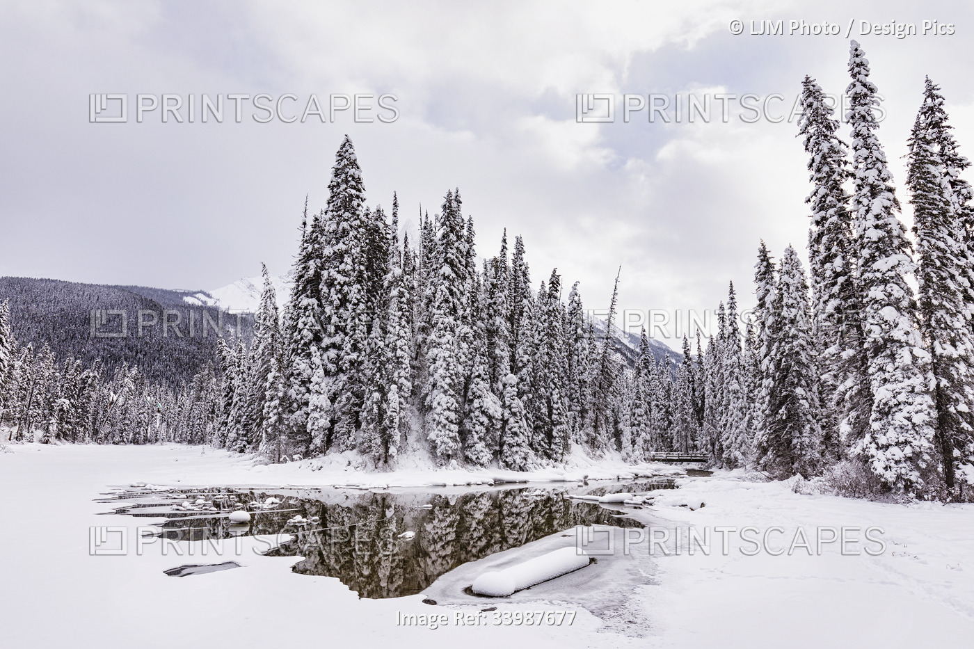 Stream with some open water near Emerald Lake in the winter in the Rocky ...
