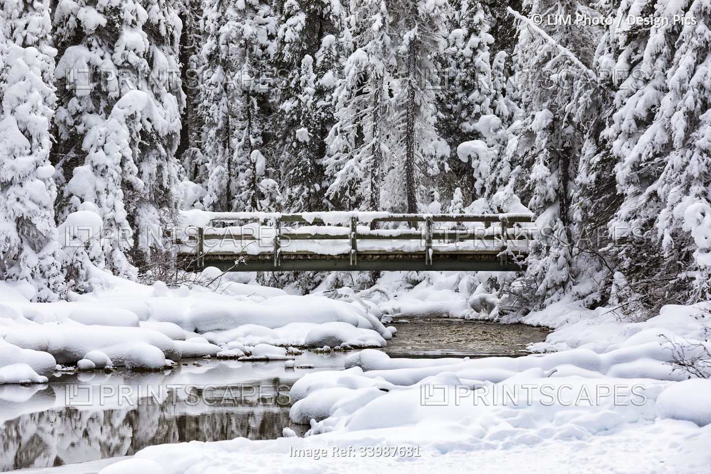 Snow-covered bridge and stream with some open water near Emerald Lake in the ...