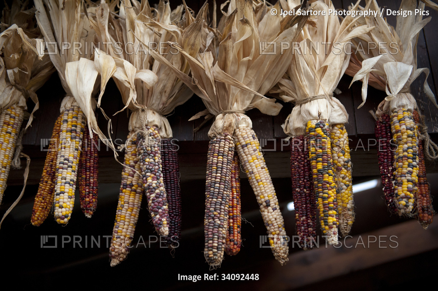 Bundles of Indian corn decorate the exterior of a building; Lincoln, Nebraska, ...