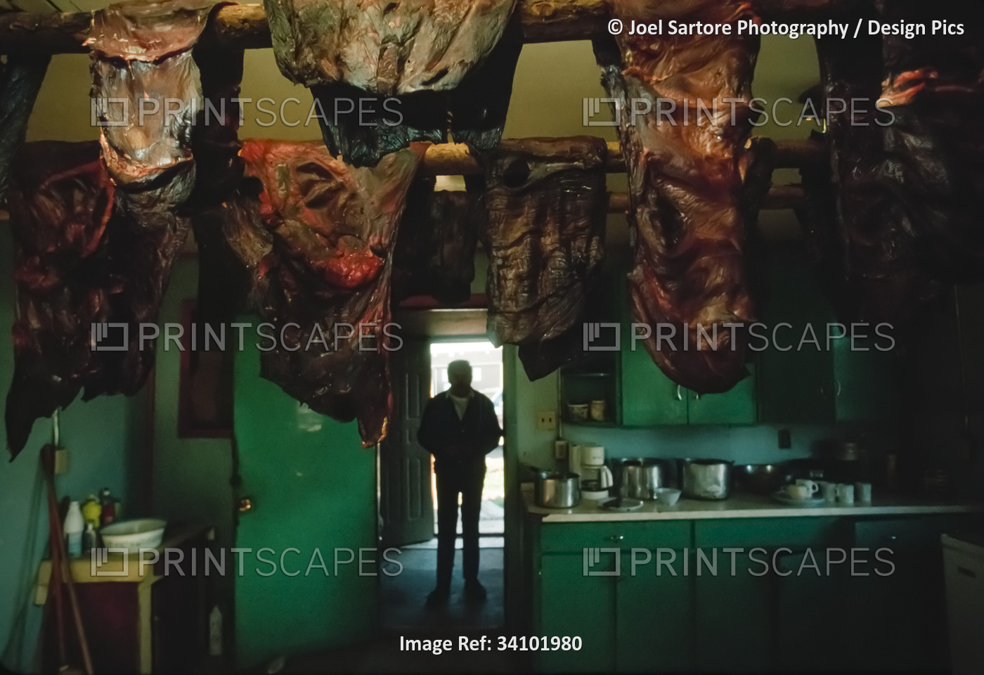 A Dene man enters a room with Caribou meat hanging from the ceiling, near ...