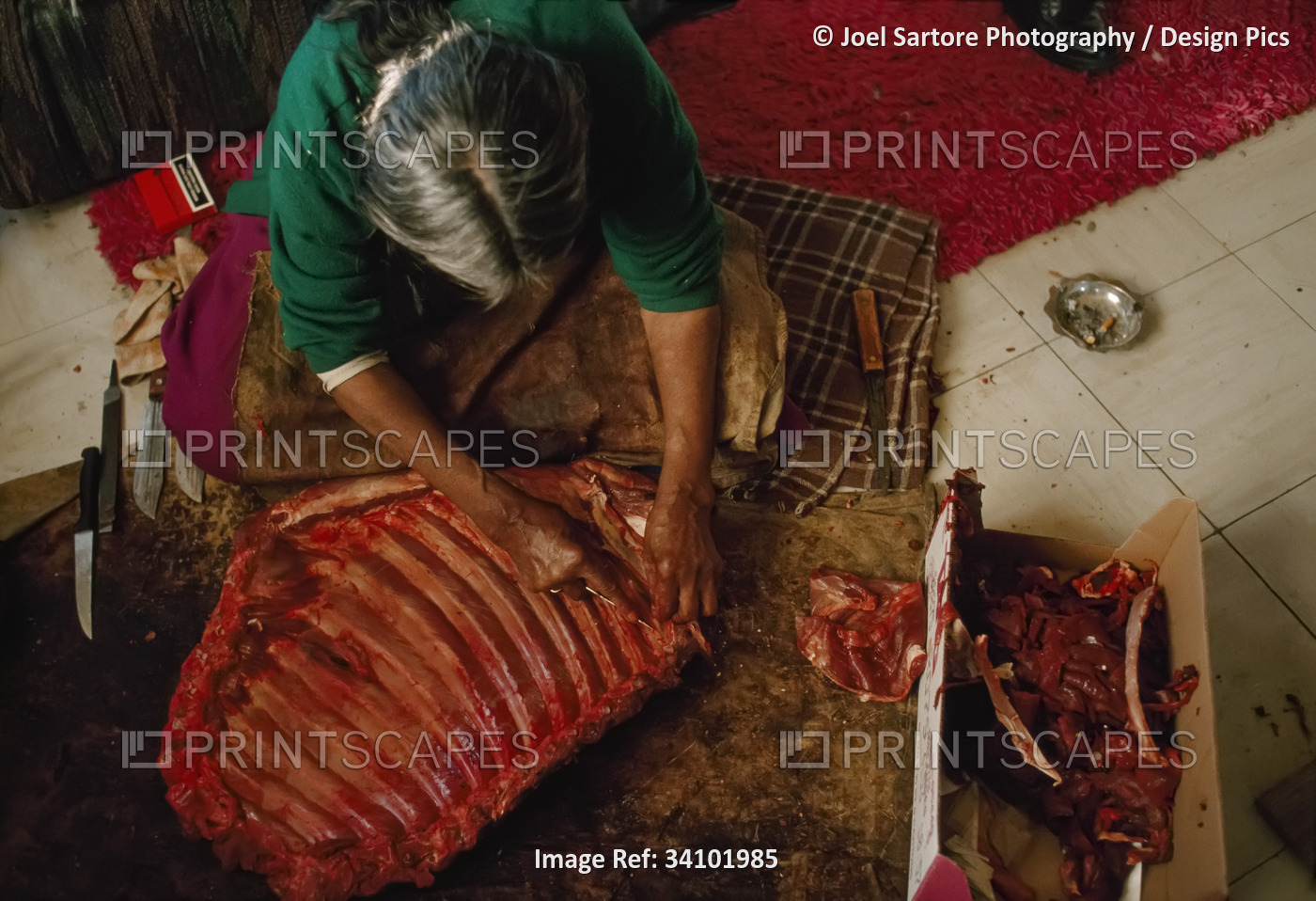 Dene woman prepares Caribou meat in her living room, near Yellowknife, NWT, ...