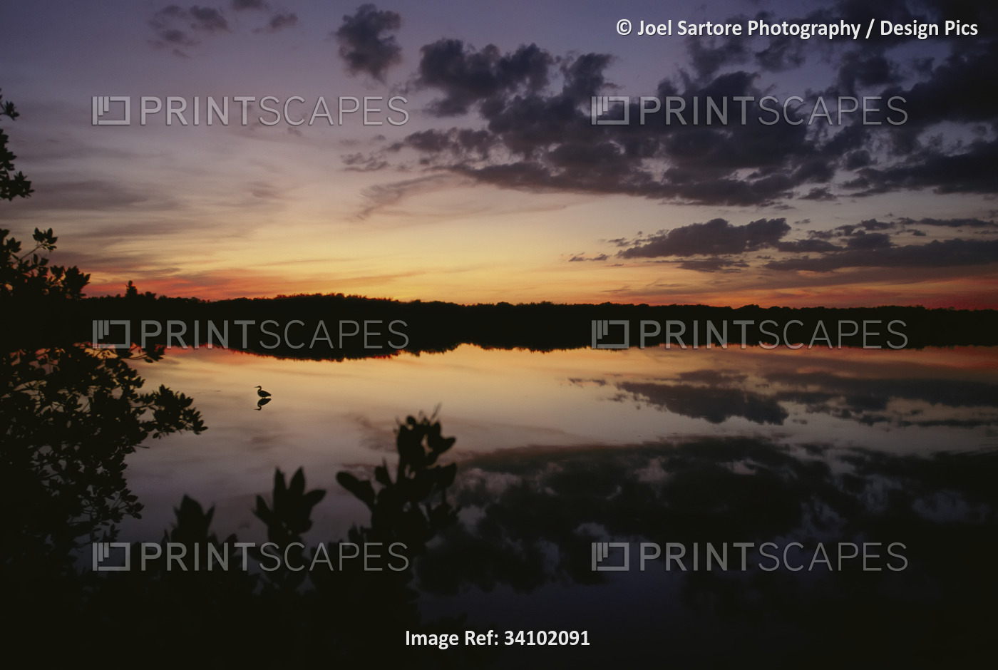 Twilight over the waters of a panther national wildlife refuge in Florida, USA; ...