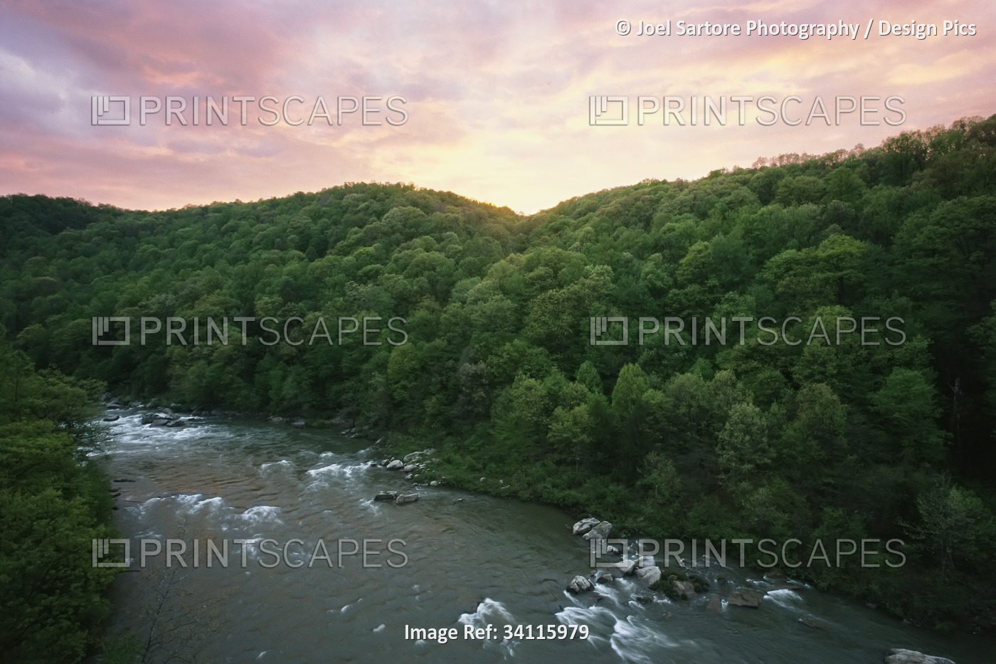 Youghiogheny River flowing through a forest  in Ohiopyle State Park at ...