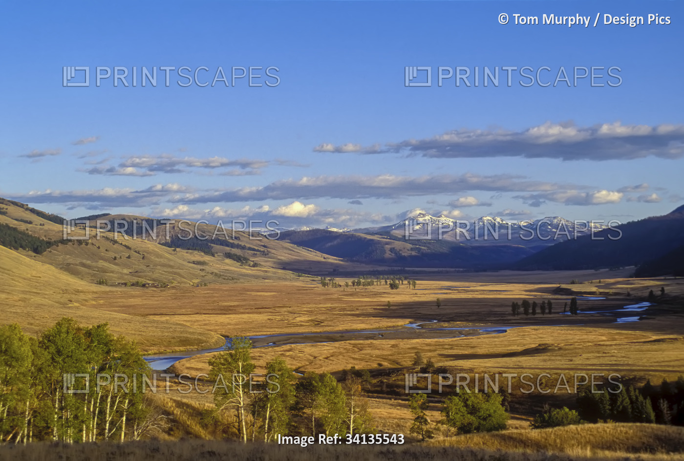 Lamar Valley on a summer evening inYellowstone National Park; Wyoming, United ...