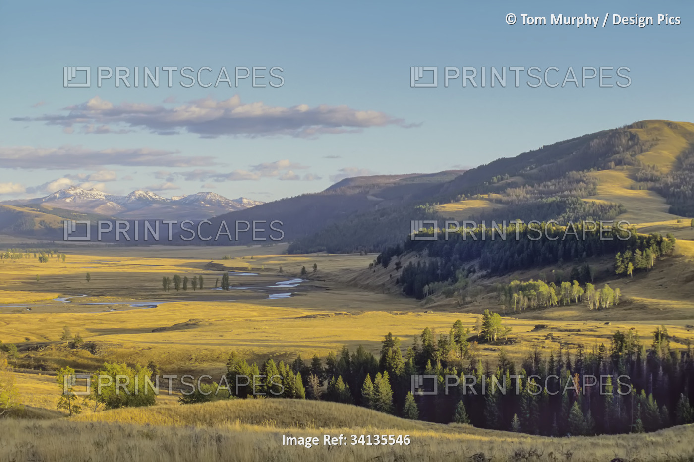 Lamar Valley on an autumn evening inYellowstone National Park; Wyoming, United ...