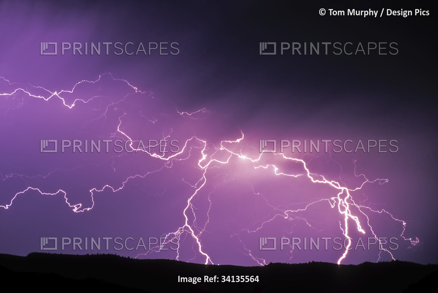 Lightning in a purple sky during a storm in Yellowstone National Park; Wyoming, ...