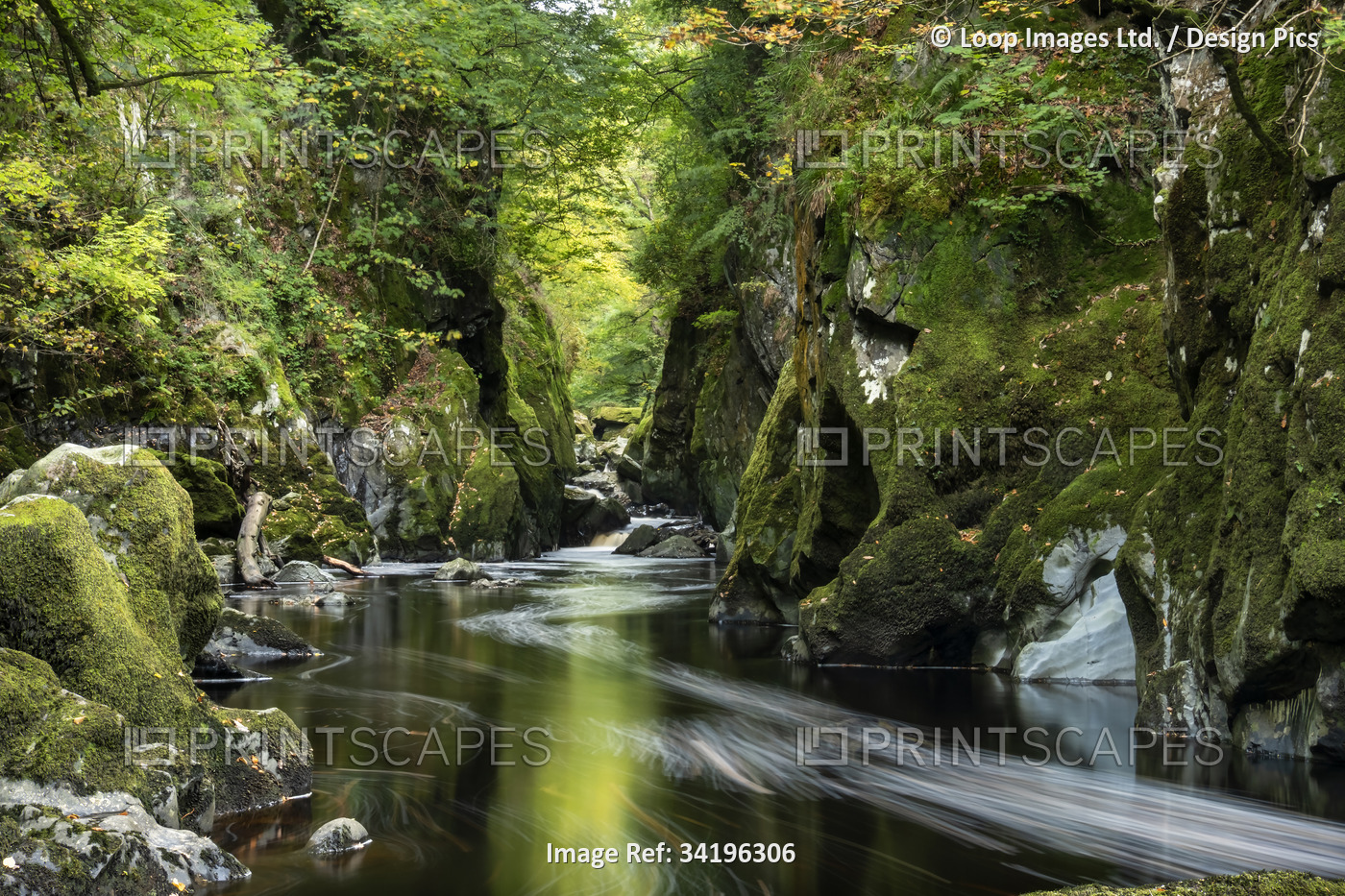 The Fairy Glen and River Conwy near Betws y coed in Snowdonia.