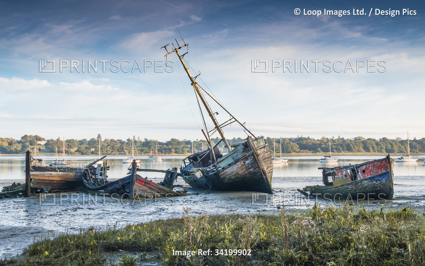 Derelict boats rot on the mud at Pin Mill.