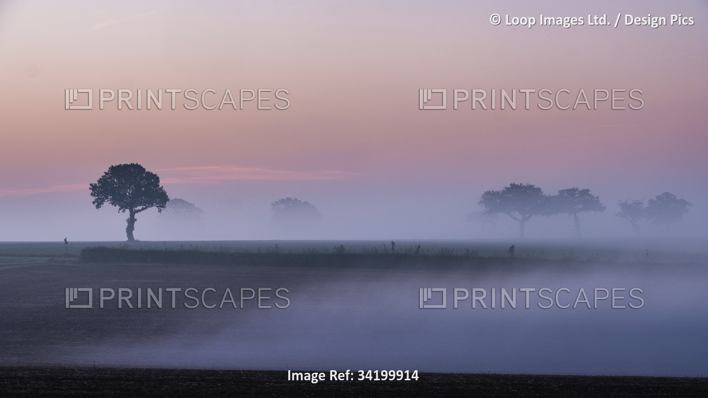 Mist drifts across the Suffolk landscape at dawn.