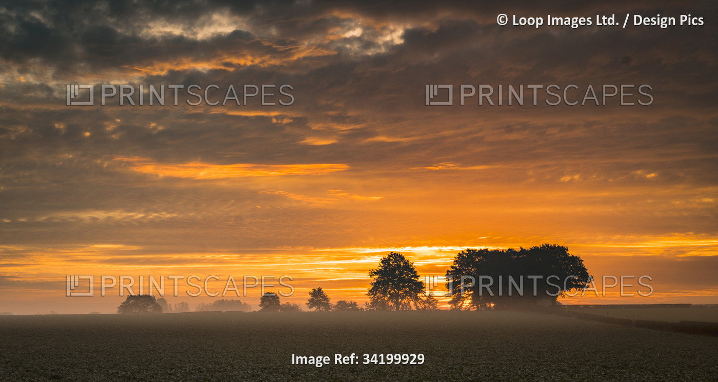 Sunrise over southern Staffordshire farmland.