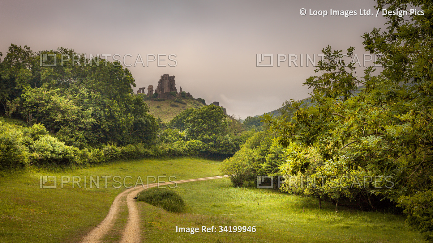 View to Corfe Castle on the Isle of Purbeck.