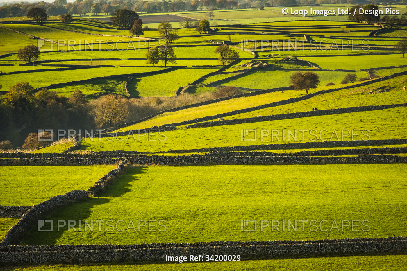 Small fields separated by dry stone walls are a feature of the landscape in the ...