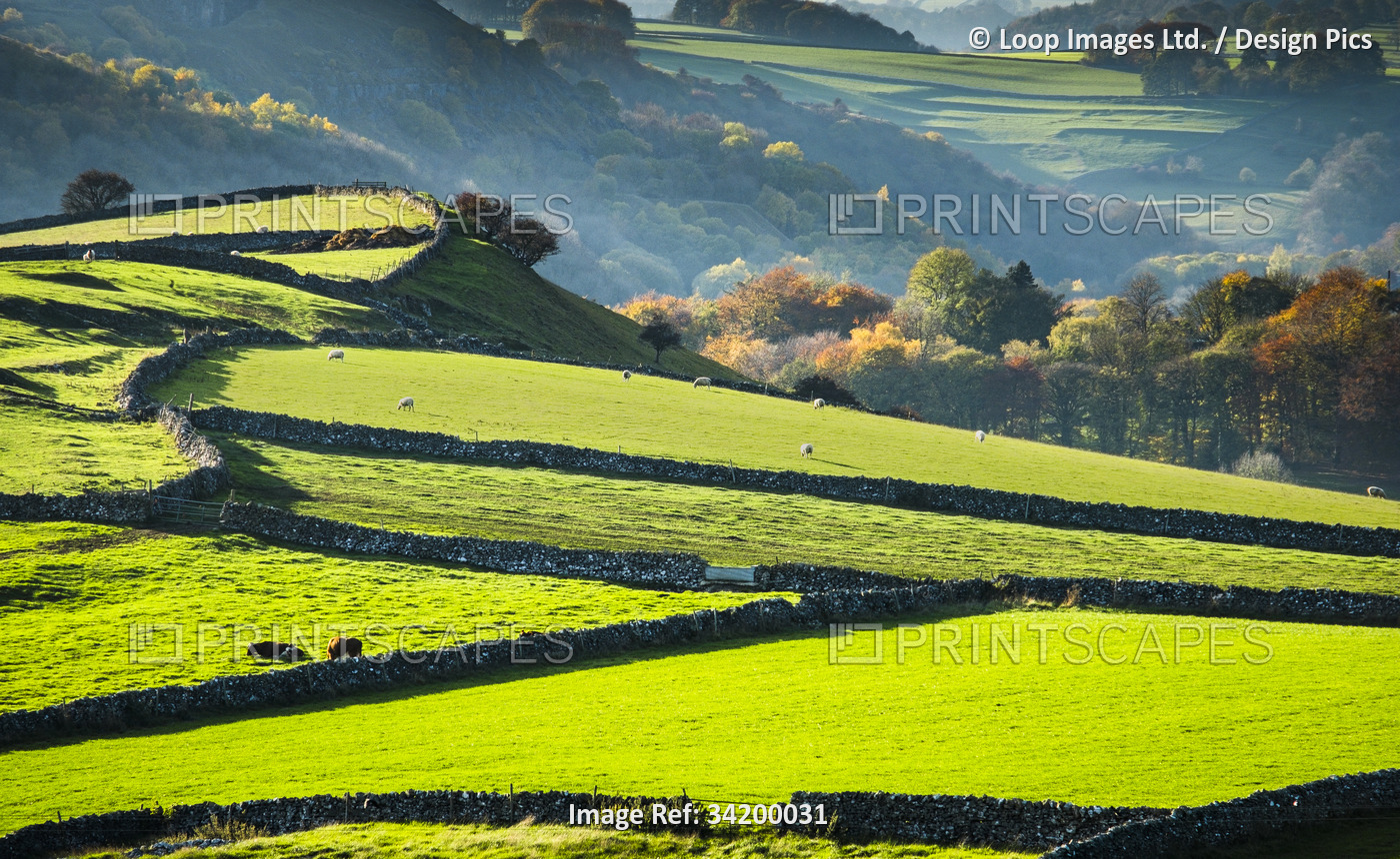 Small fields separated by dry stone walls are a feature of the rolling ...