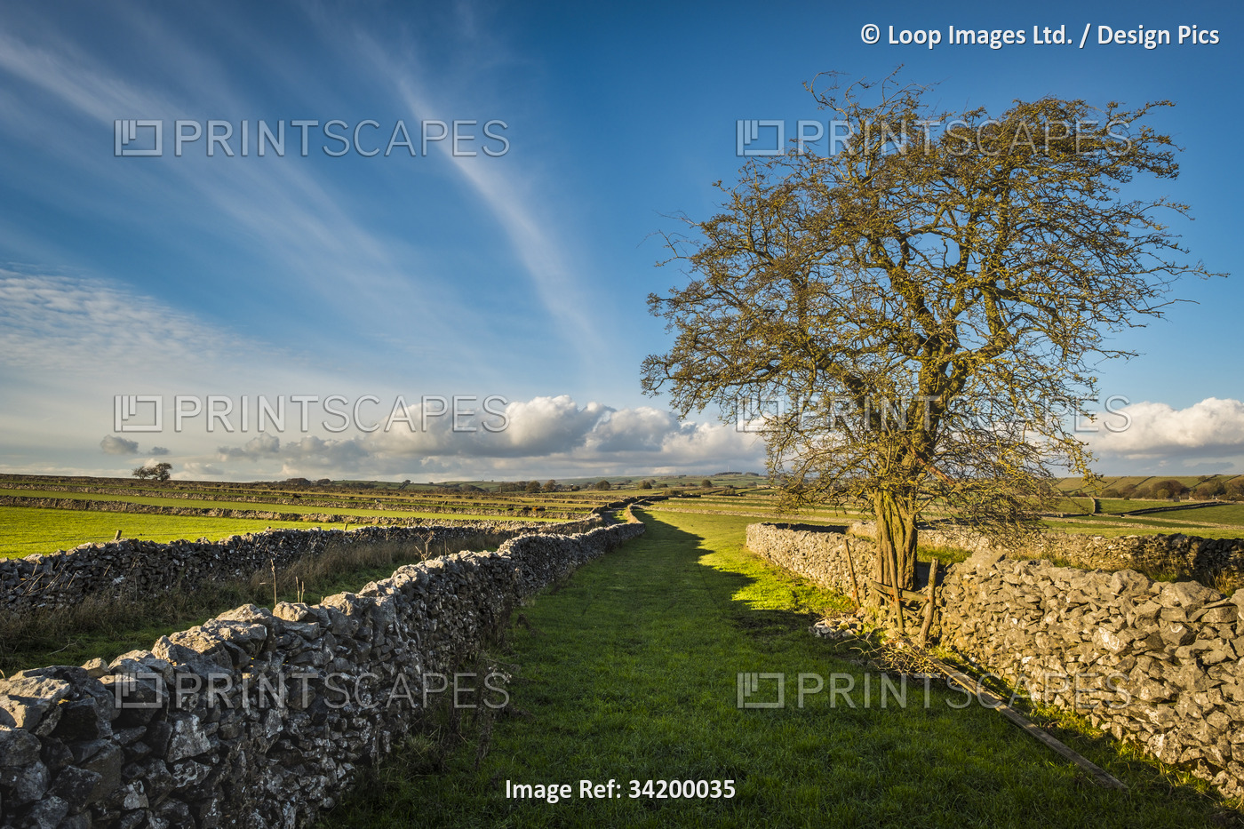 Dry stone walls are a feature of the landscape in the Peak District and some ...