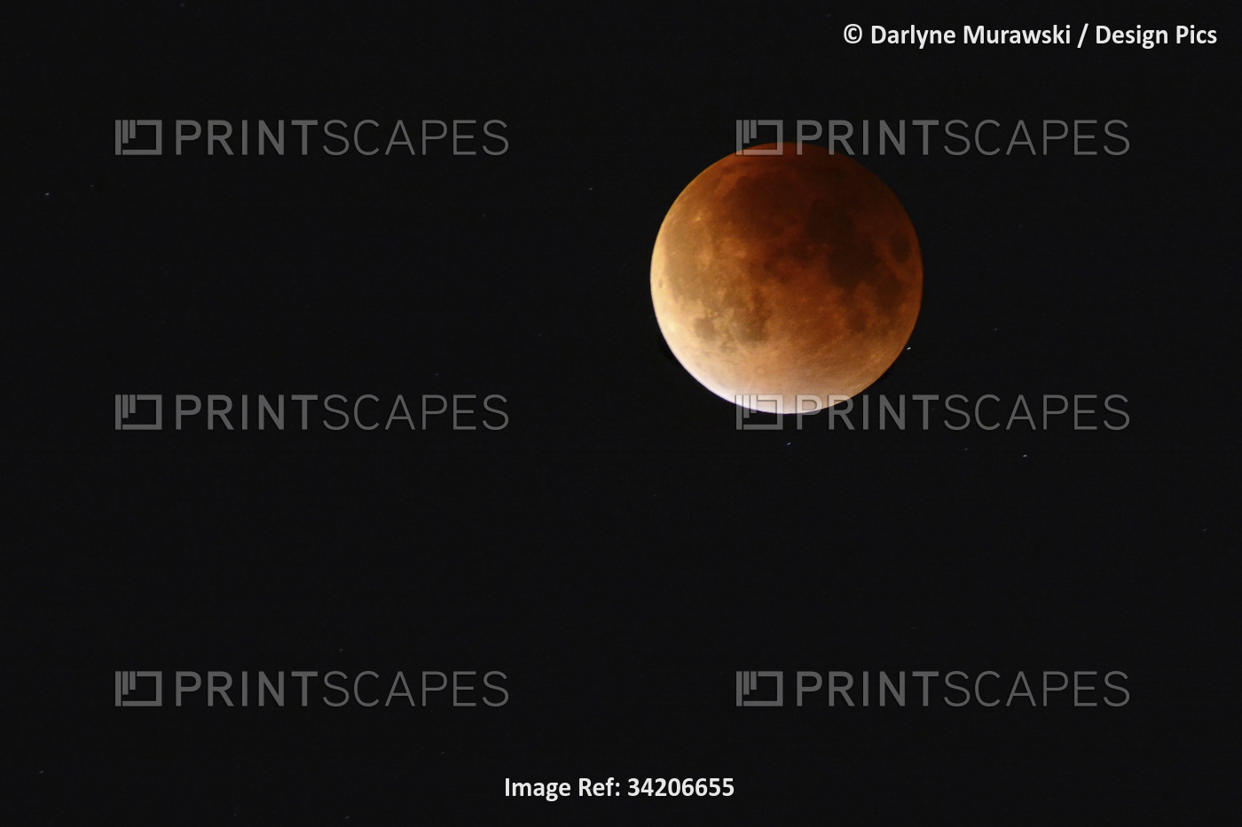 Total lunar eclipse also known as a blood moon.; Arlington, Massachusetts, USA.