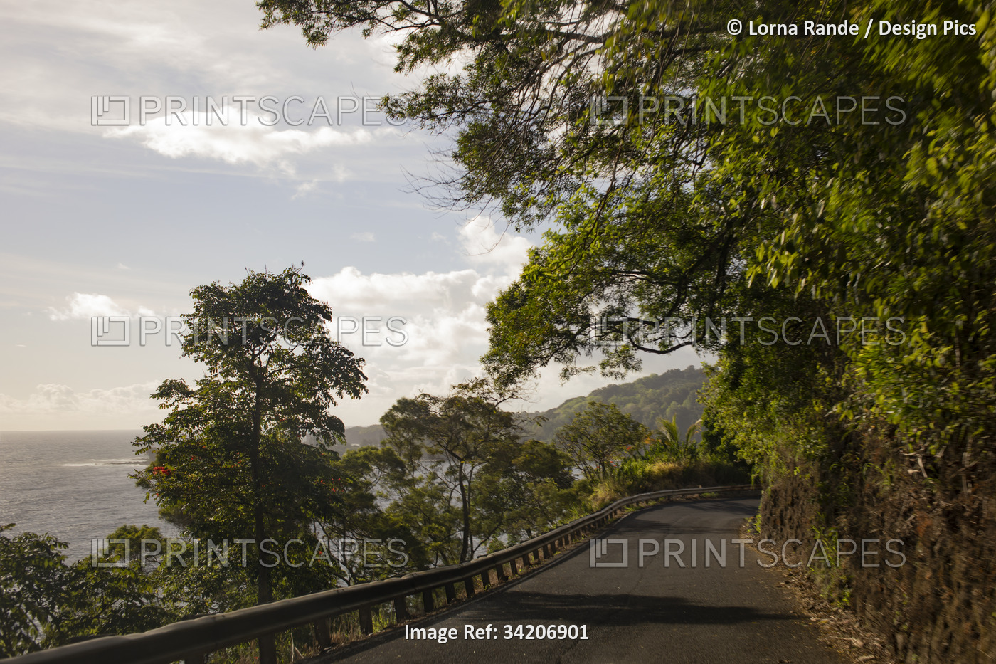 Narrow roadway along the forested mountains with stunning views of the ocean on ...