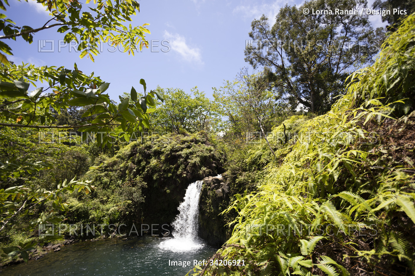 View through lush vegetation of a plunging waterfall with a turquoise pool ...