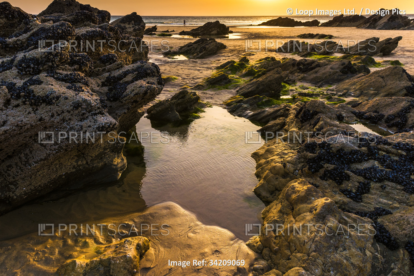 Rocks pools at sunset on Fistral Beach in Newquay in Cornwall.