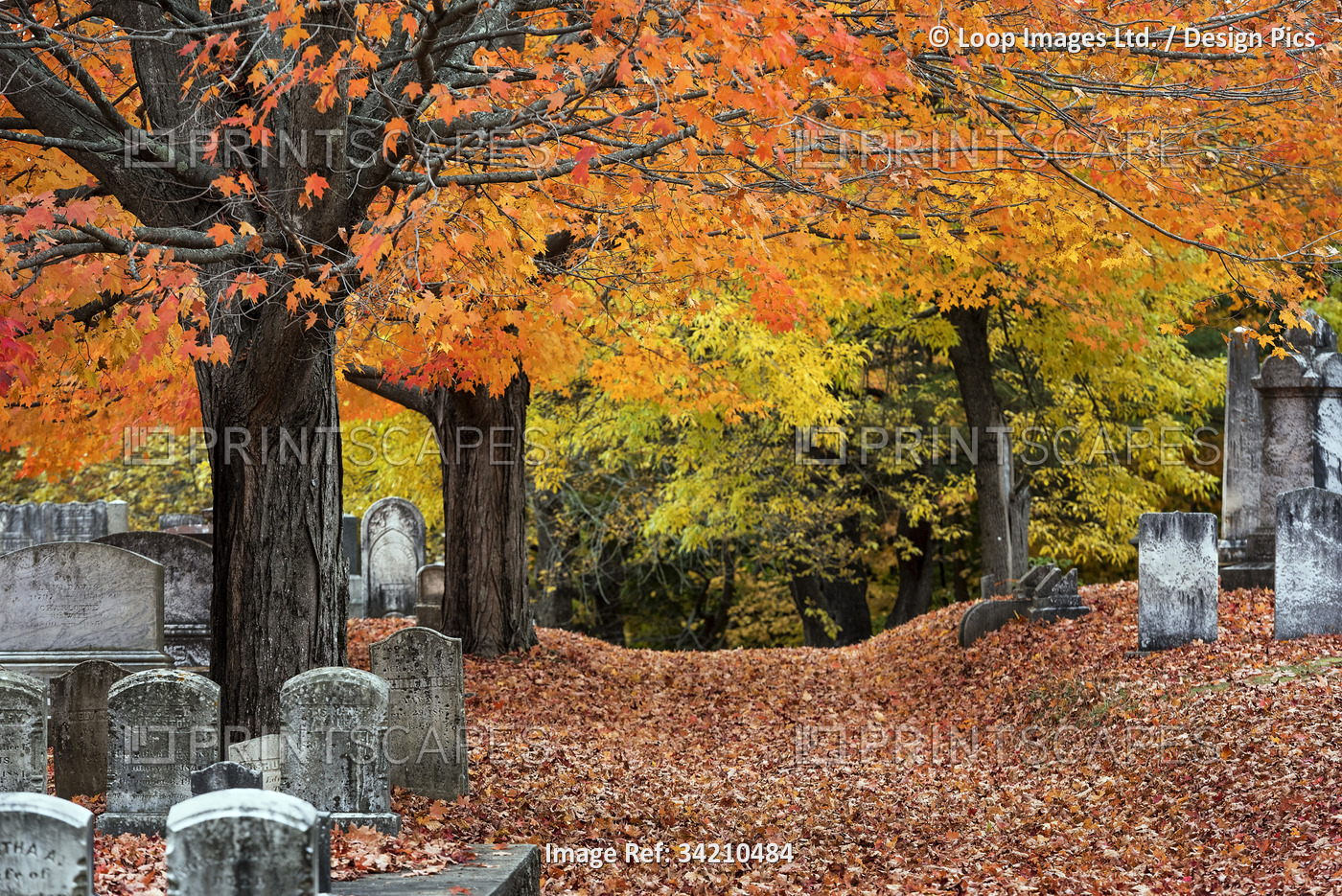 Autumn cemetery in Yarmouth.