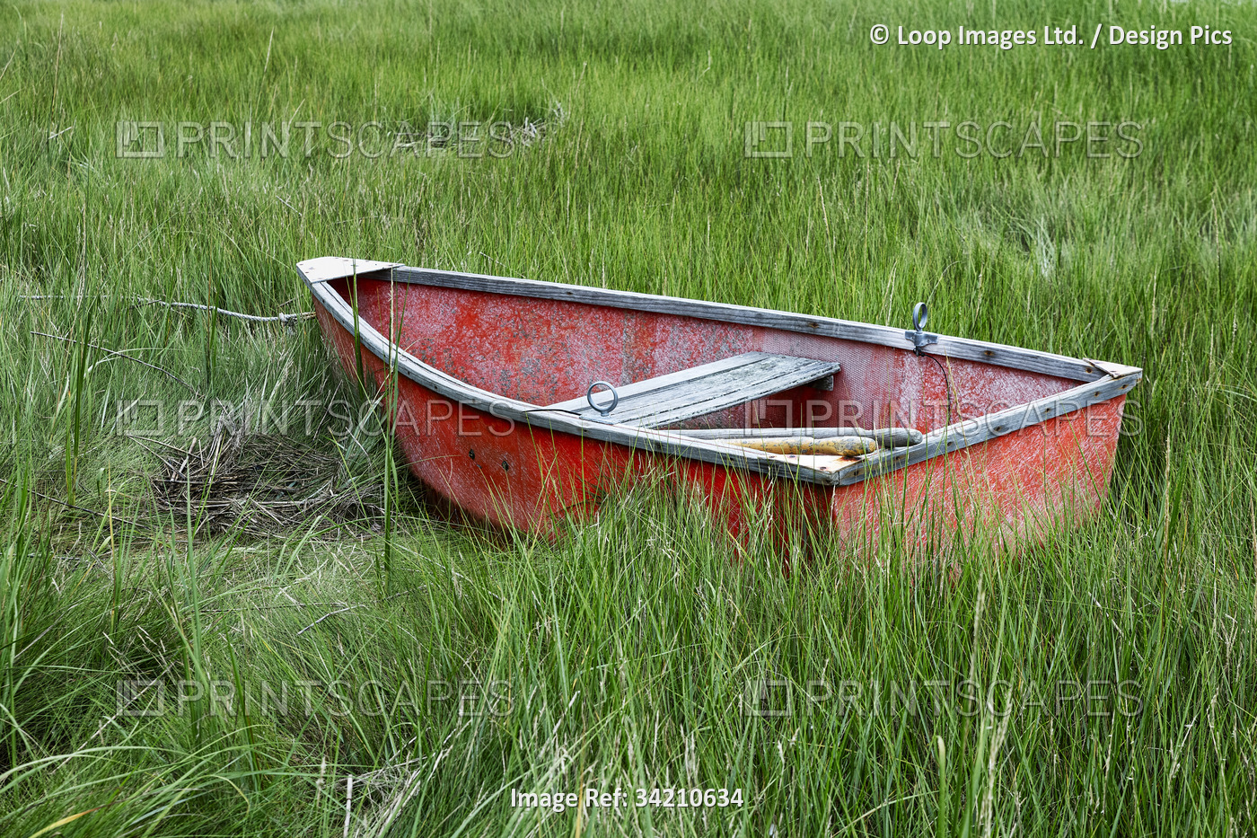 Charming rowboat in wetland grass at Cape Cod in Massachusetts.