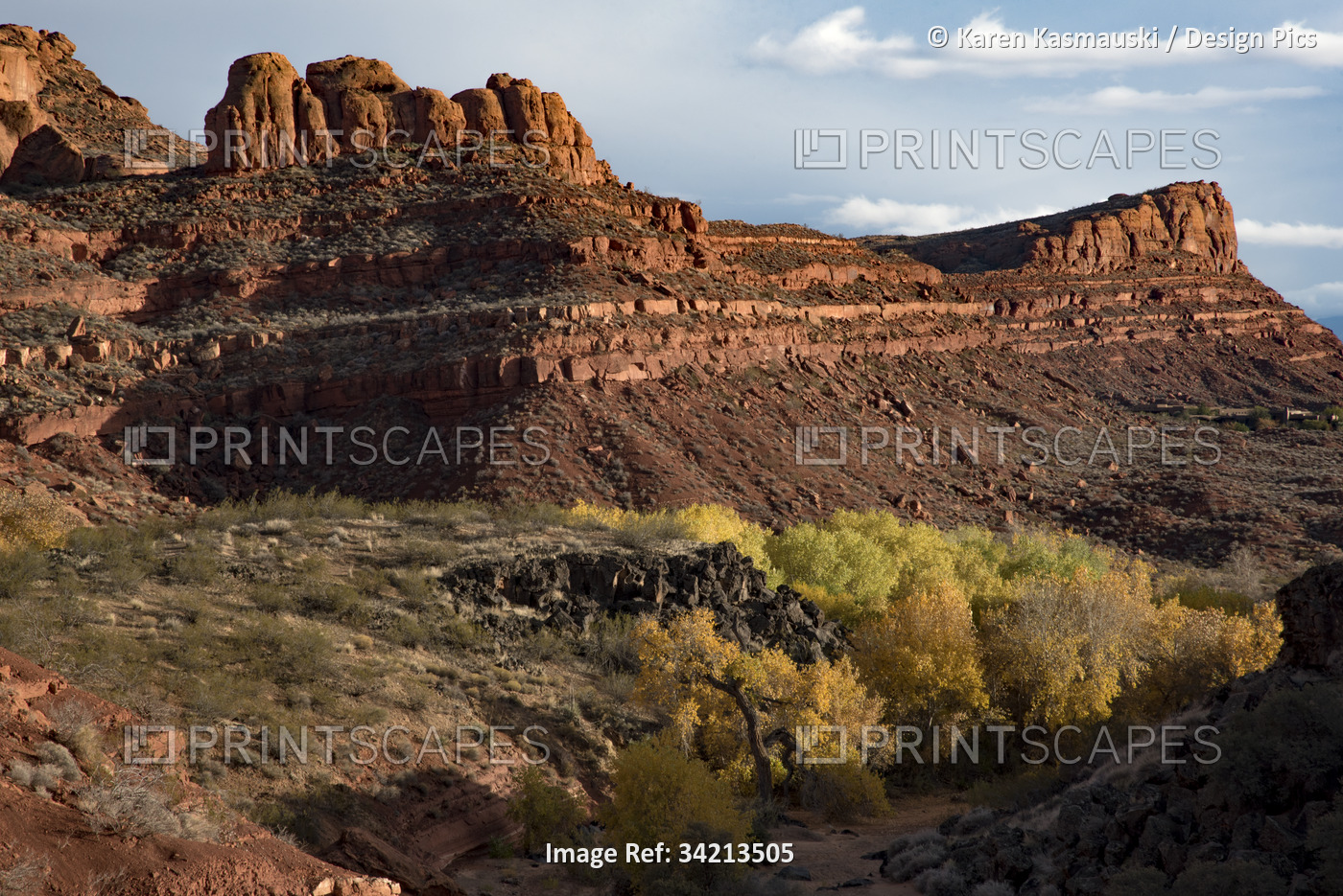 Hiking trail through Johnson Canyon, part of Snow Canyon State Park, behind the ...