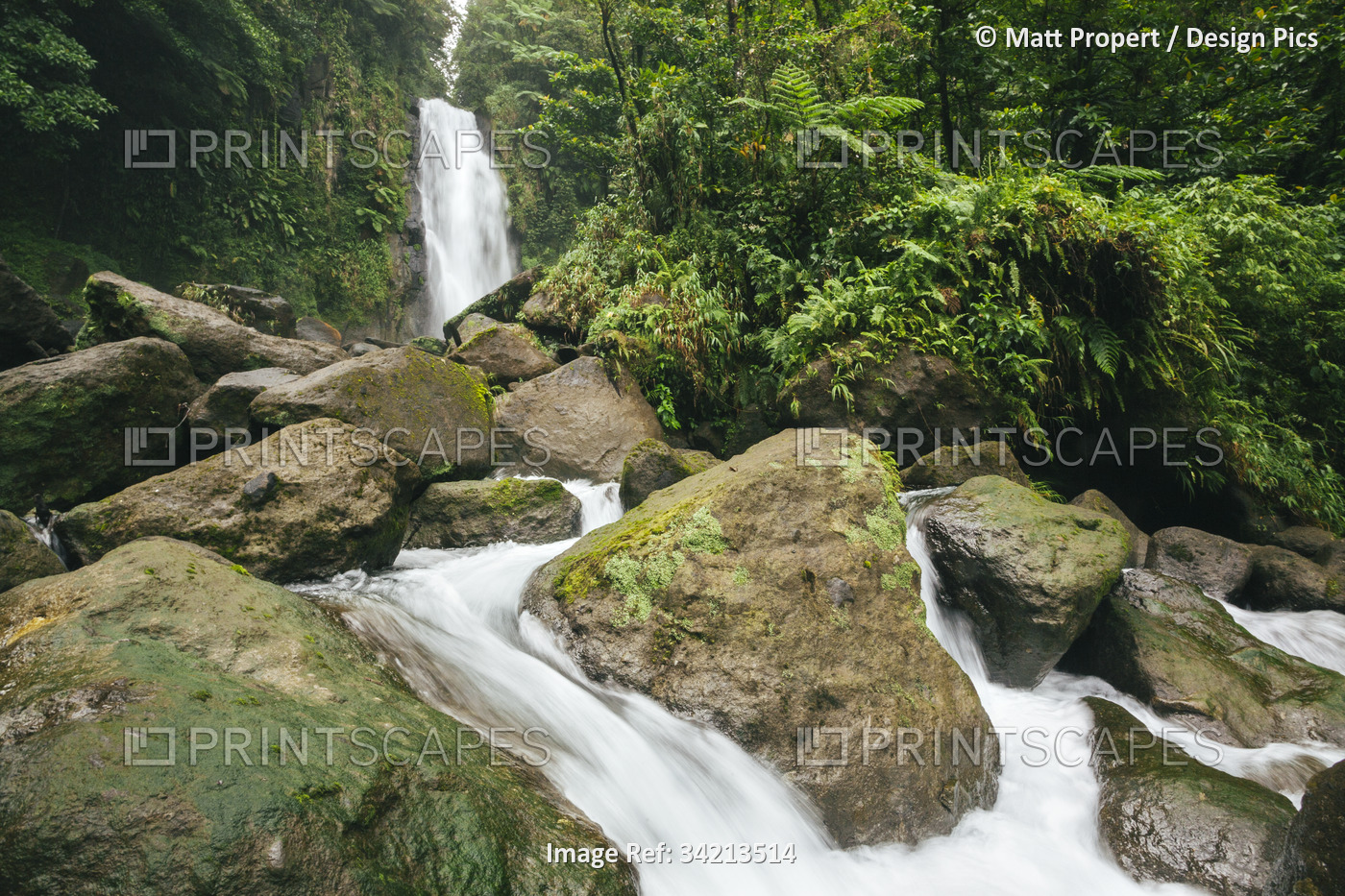 View of the lush vegetation and rushing water of Trafalgar Falls on the ...