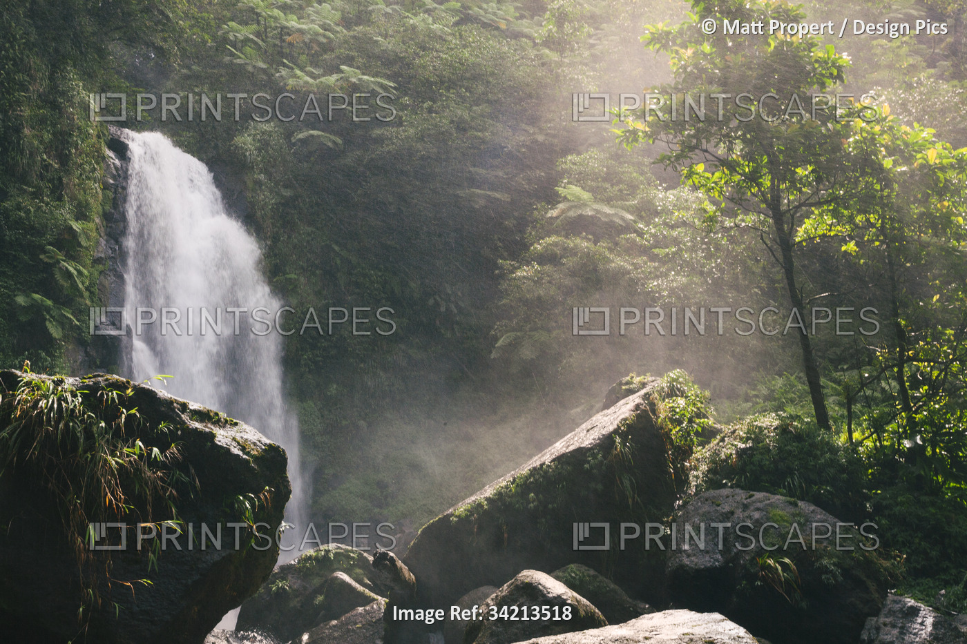 View of the rushing water of Trafalgar Falls in the misty rainforest on the ...