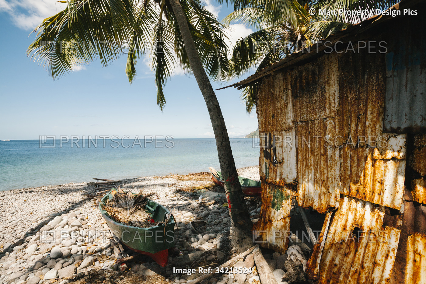 View of ocean from the rocky beachfront with a palm tree, a rusted fishing hut ...
