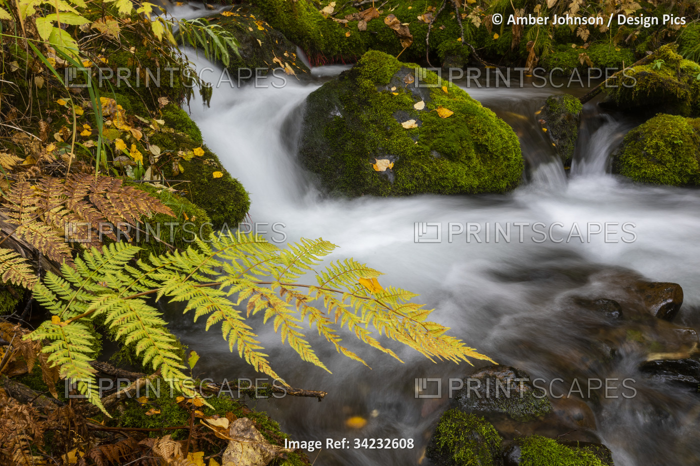 Long exposure of a silky, smooth Rainbow Creek with moss-covered rocks and ...