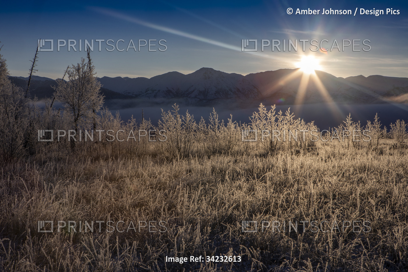 Winter sun going down over the  Chugach mountains, with frost-covered trees and ...